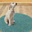 Virginio Non-Slip Bath Rug-543441352