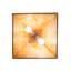 Rustic Lodge 2 - Light Pendant