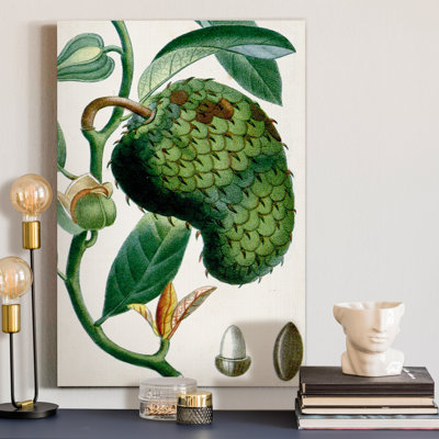 Reproduction d’art sur toile tendue « Turpin tropical de VIII »