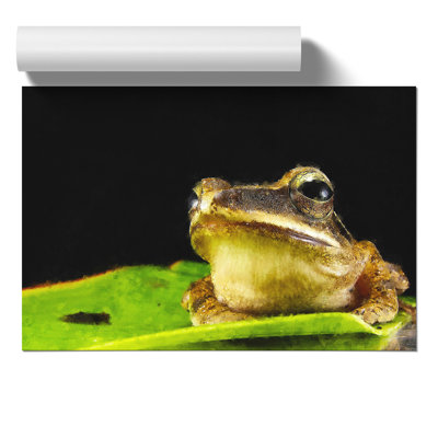 Frog Painting - Frameless Print