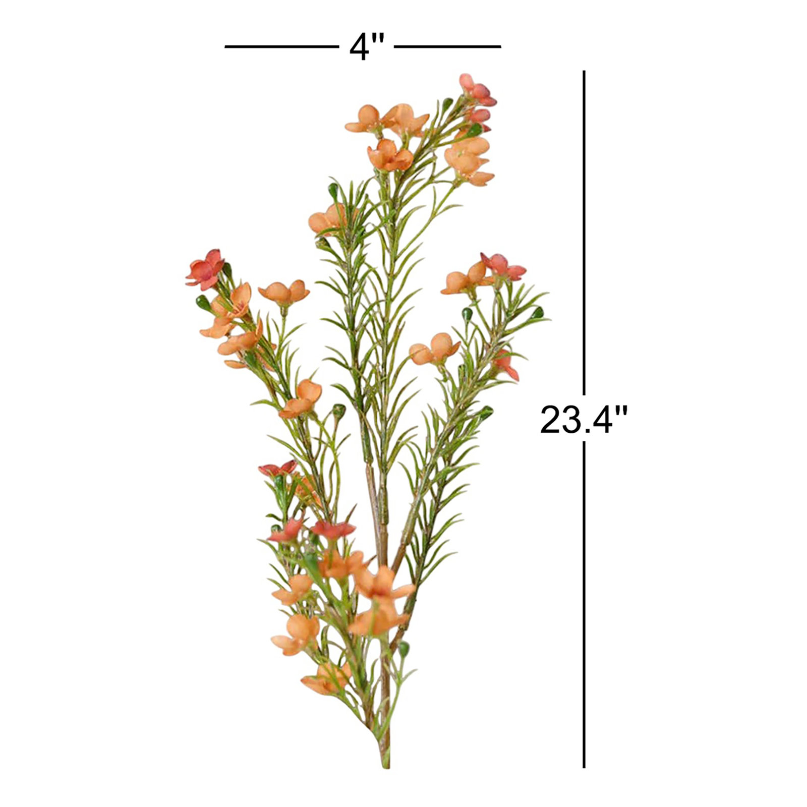 Audet Waxflower Stems, Orange