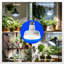 Ampoules Barrina Orbgrow Og11a pour plantes d'intérieur, 5000k 22w (2 x 11w, 200 watts équivalents), ampoule E26, 2 paquets, blanc