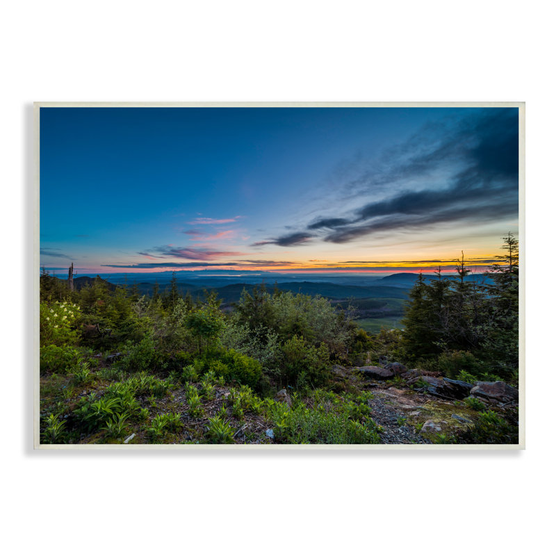 «Dense Brush Sunset Landscape Blue Sky Modern», H 13 po x l 19 po, Plaque de bois