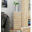 Solanus Particle Board Standard Storage Unit Accent Chest