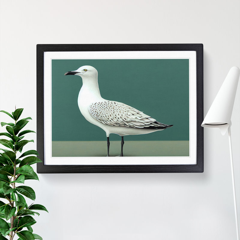 View Of A Seagull - Framed Print, Black, 34cm H x 46cm W x 2cm D