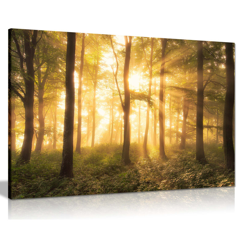 Panther Print Fine Art Prints Yellow Warm Sunlight On A Forest Artistic Framed Canvas Prints, Pictures For Home Walls, Bedroom, Living Room & Bathroom Decor - Wrapped Canvas Art Prints