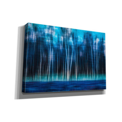 'Mystic Forest by Hannes Cmarits Giclee Canvas Wall Art