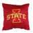 Iowa State Cyclones