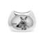 Nambe Cat Frame 3X5