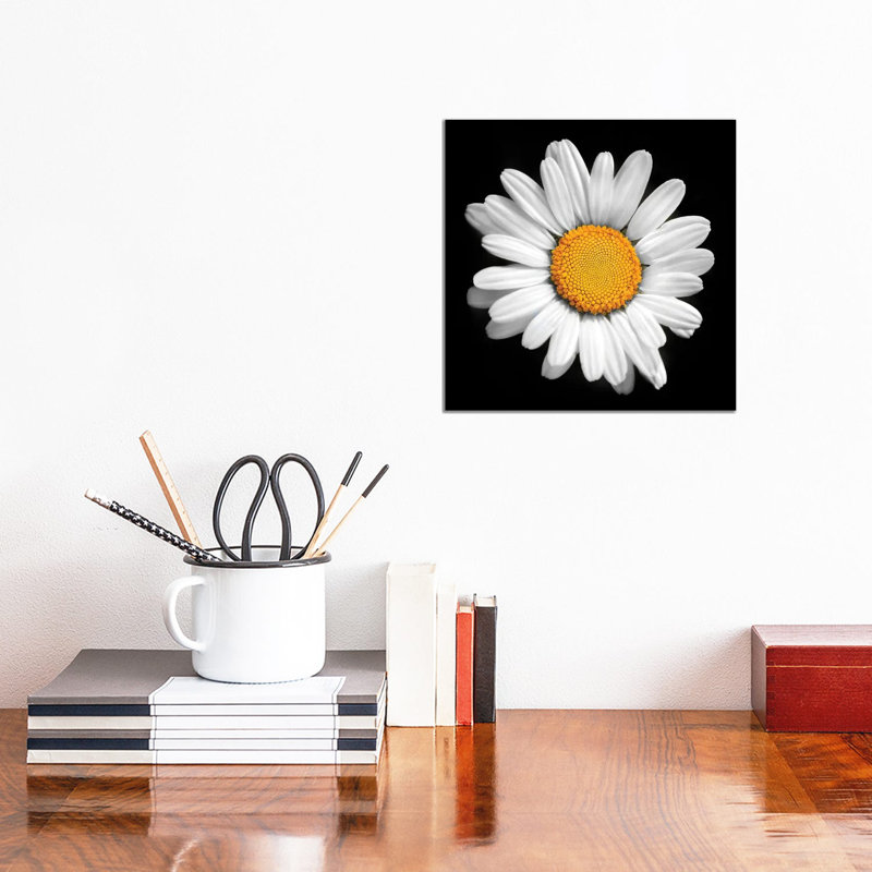 1 Piece Wall Art on Canvas, 30.48 cm H x 30.48 cm W, Wrapped Canvas