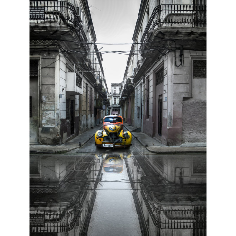 Wrapped Canvas Print, 50.8 cm H x 76.2 cm W