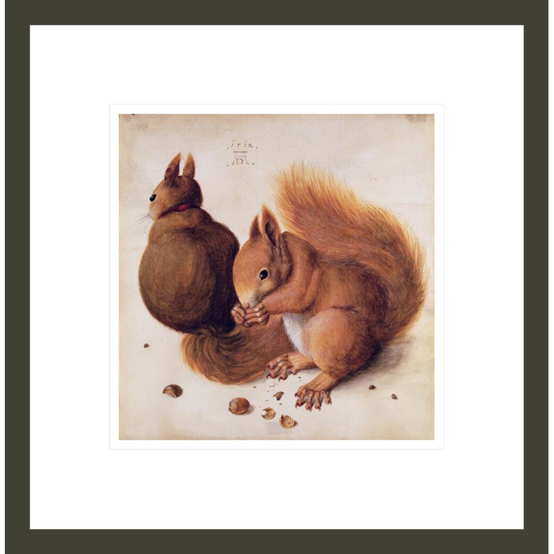 «Squirrels» par Albrecht Dürer, impression giclée sur cadre, H 14,02 po x l 13,75 po