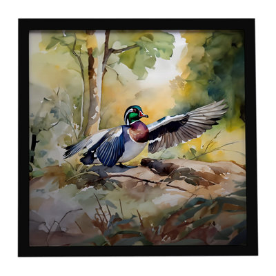 Wood Duck Framed Metal Print