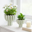Pot de fleurs et ciment Planters