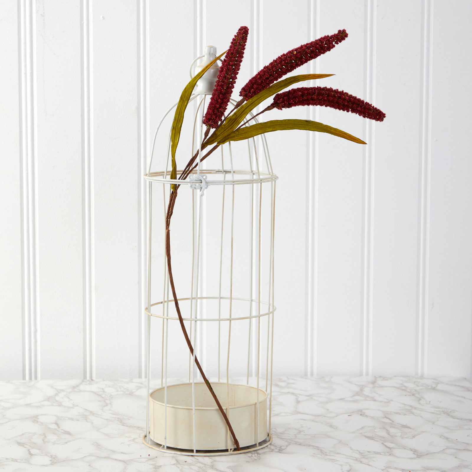 Sorghum Floral Stems, Burgundy