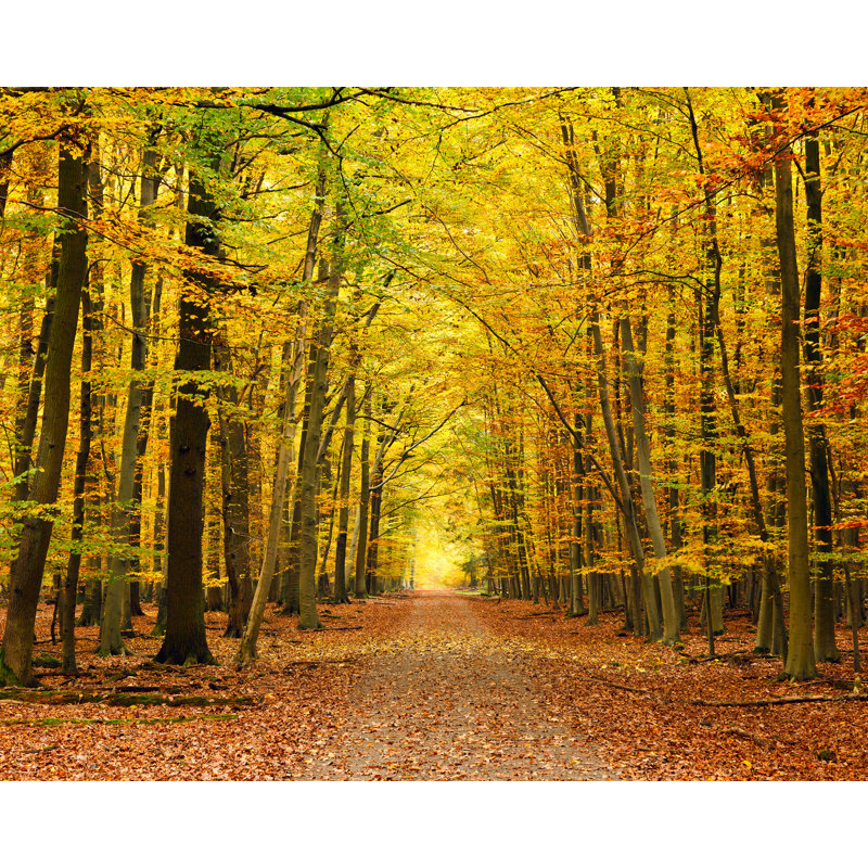 Mounce Matte Wall Mural, 240cm L x 300cm W