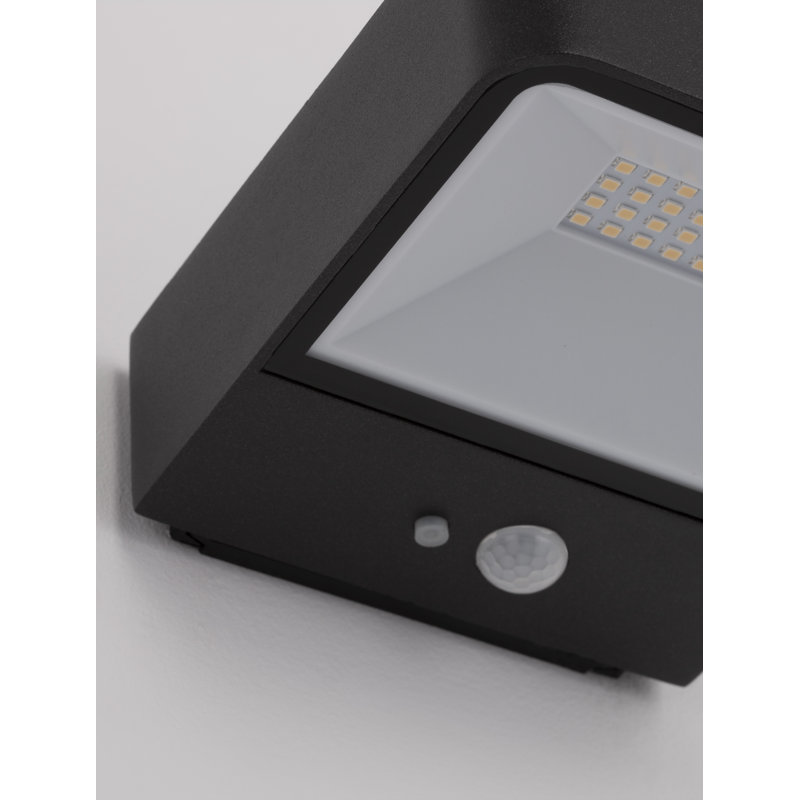 Black Integrated LED Outdoor Flush Mount