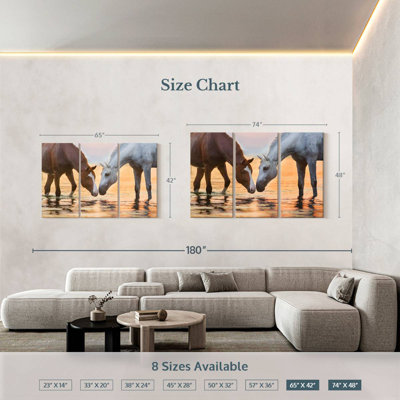 Brown And White Quarter Horse
