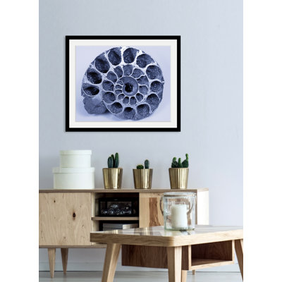 Shell 1 Piece Single Picture Frame Wall Art