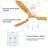 51.96'' Ceiling Fan with LED Lights