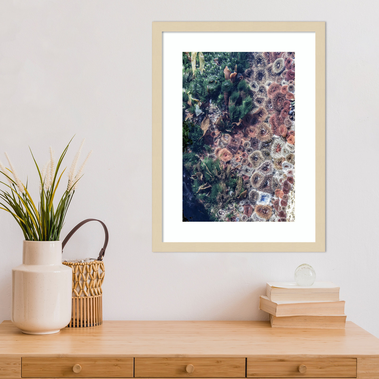 Daisey "Ocean Curiosities" Print, Brown, 21" H x 16" W