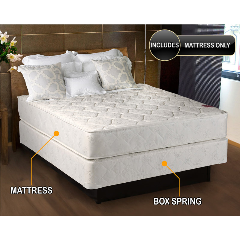 Mier Gentle Firm Mattress And Box Spring Set - Fully Assembled, Good For Your Back, Longlasting Comfort - One Sided - None Flip By Alwyn Home
