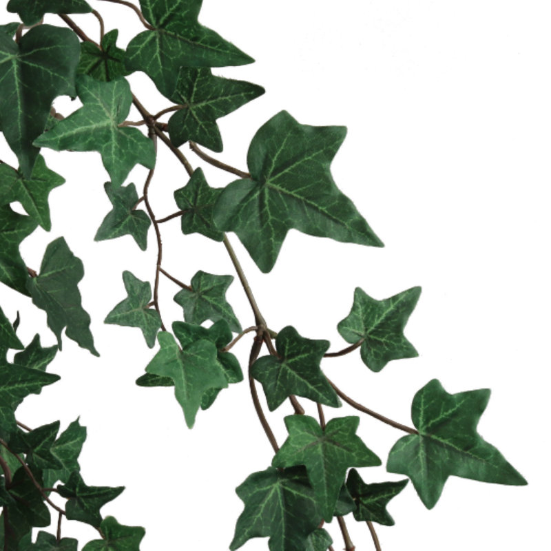 Ensemble de 6 plantes de lierre artificielles de 38 po, 1