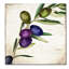 "Jadaya Olive Branch III" par Color Bakery, reproduction d'art sur toile tendue-20567767