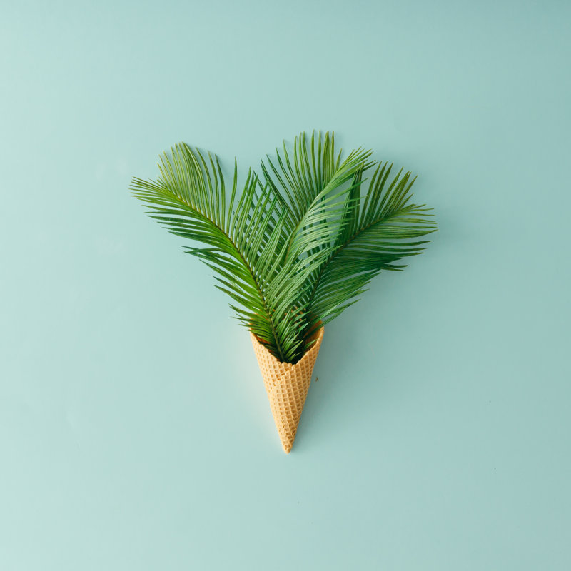 Palm Tree Leaves - Wrapped Canvas Print, 30cm H x 30cm W x 3.8cm D