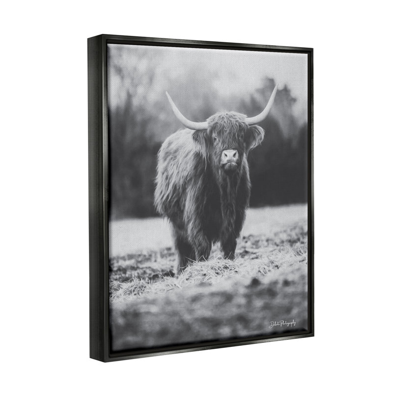 «Grazing Bovins Farmhouse», photographie sur toile flottante par Dakota Diener, H 21 po x l 17 po x P 1,7 po