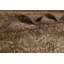 Tapis traditionnel rétro 7 x 13