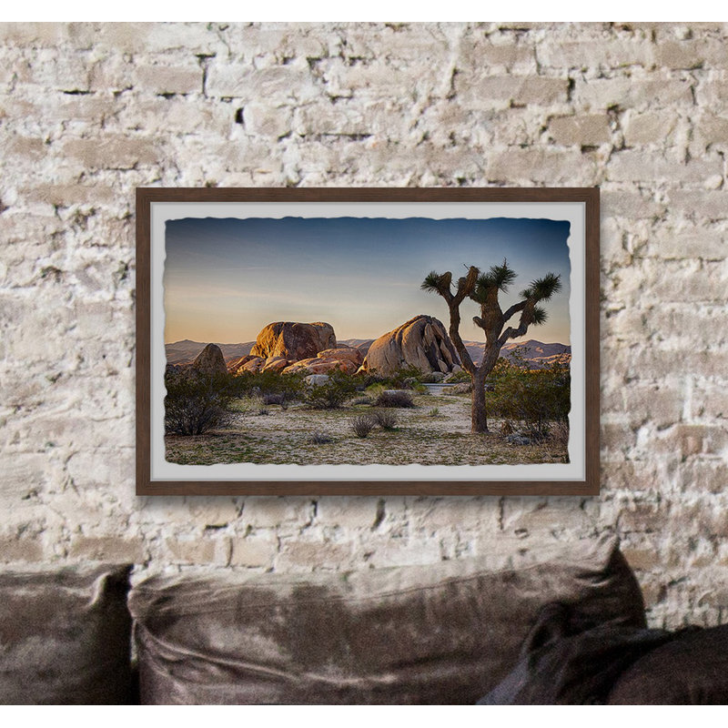 Mojave Native Tree par Marmont Hill - reproduction de photo sur papier encadrée, H 24 po x l 36 po x 1,5 po