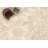 NEW ADURA®APEX with Microban® Luxxe 12" x 24" x 8mm WPC Luxury Vinyl Tile in Pearl w/ 20mil wearlayer-125532015