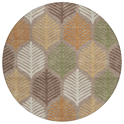 Machine Washable Indoor/Outdoor Chantille ACN2515 Floral Rug