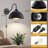 Aalap Plug In Iron Armed Sconce
