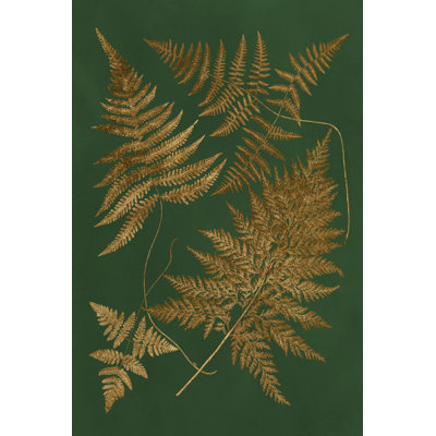 Gilded Ferns II - Wrapped Canvas Print