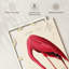 Flamant américain sur toile-573370748