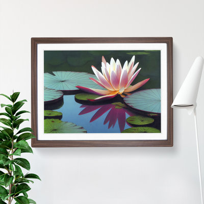 Fine Water Lily Pond 1 Piece Single Picture Frame Wall Art