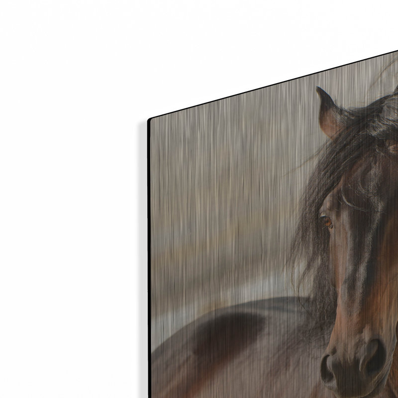 " Casanova " by Tony Stromberg, 12" H x 12" W