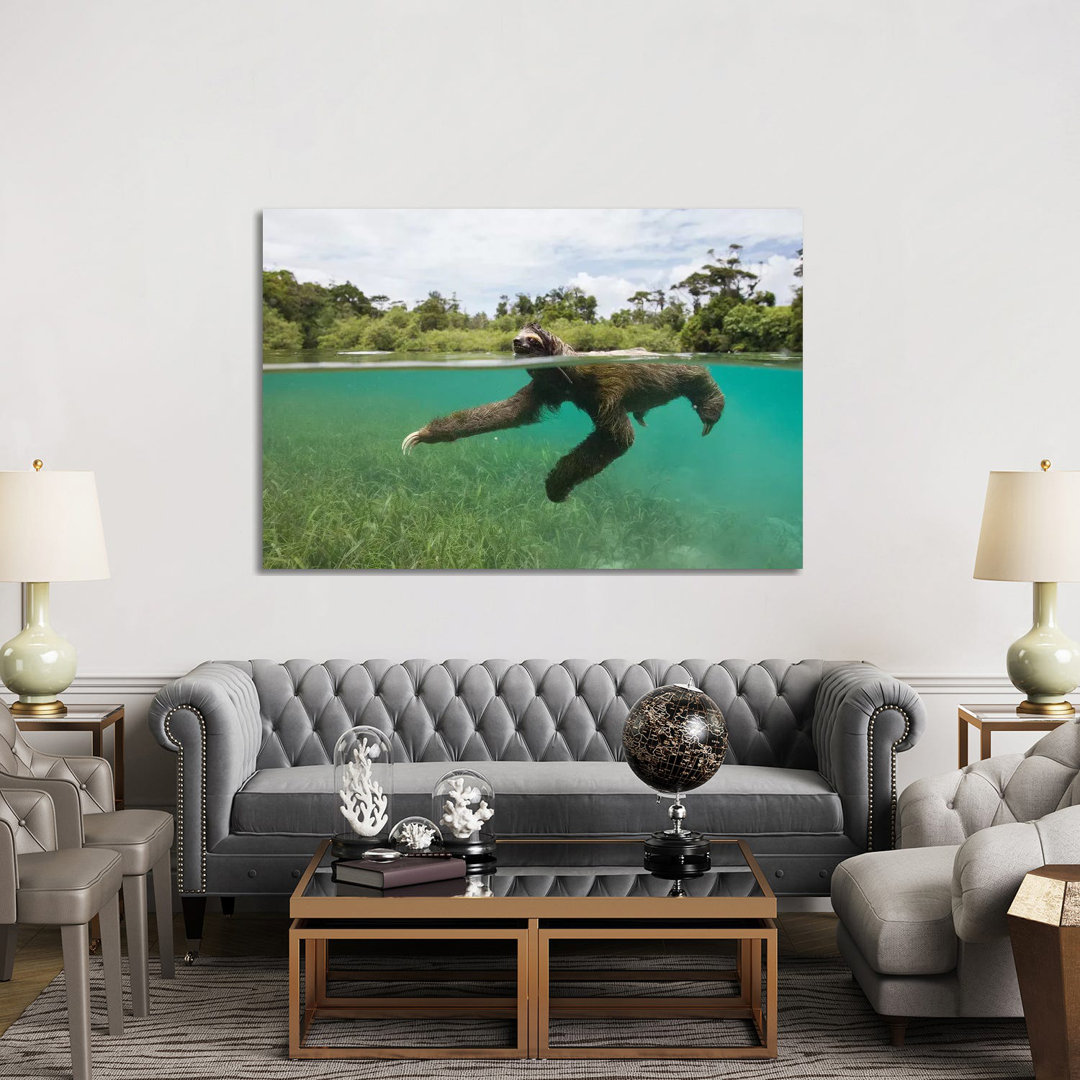 Pygmy Three-Toed Sloth Swimming In Mangrove Forest, Isla Escudo De Veraguas, Panama by Suzi Eszterhas - Wrapped Canvas Gallery-Wrapped Canvas Giclée