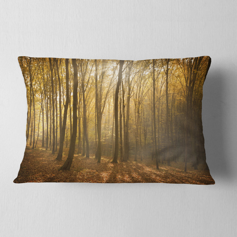 Chute d’épaisseur de forêt avec coussin lombaire brouillard