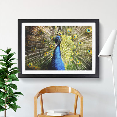 Peacock Vol.2 - Framed Print
