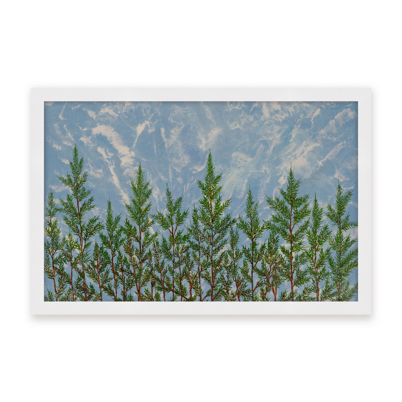 Nature Inspired "Reaching for the Sky" Canvas Wall Art By , 12" H x 16" W, Framed Matted Print, Brown