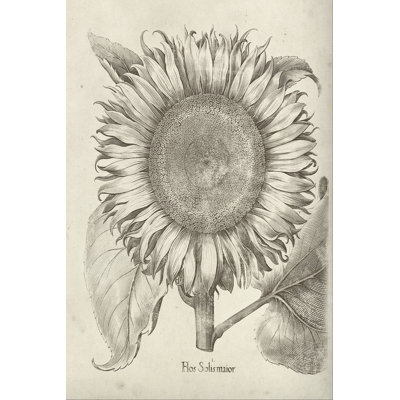 Fresco Sunflower I 1 Piece Wrapped Canvas Painting