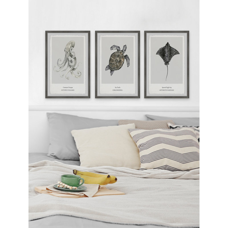 Gurdon Aetobatus Narinari by Marmont Hill - 3 Piece Single Picture Frame Painting Set, 30cm H x 20cm W x 3.81cm D