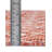 Julieta Geometric Indoor / Outdoor Rug-1844232124