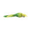 Parakeet Napkin Ring