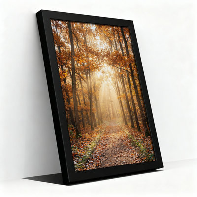 Art mural sur toile Sunlit Autumn Forest Path with Golden Rays