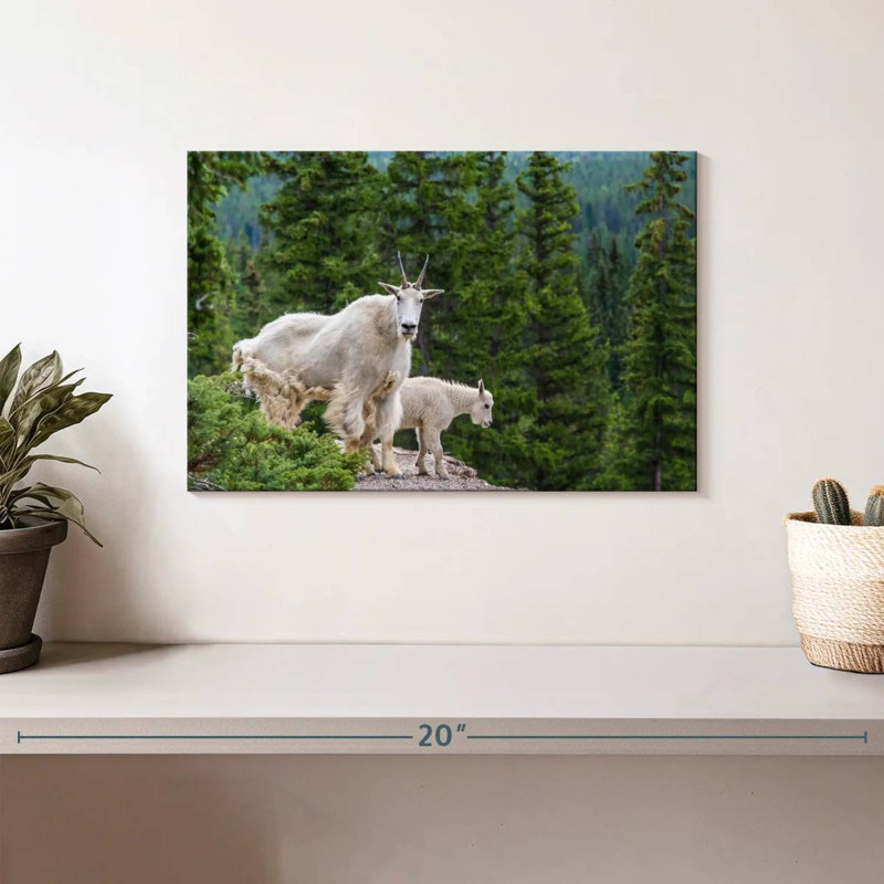 Cliff Mountain Goats, 8" H x 12" W