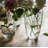 Sistrunk Glass Table Vase 1-1479338830